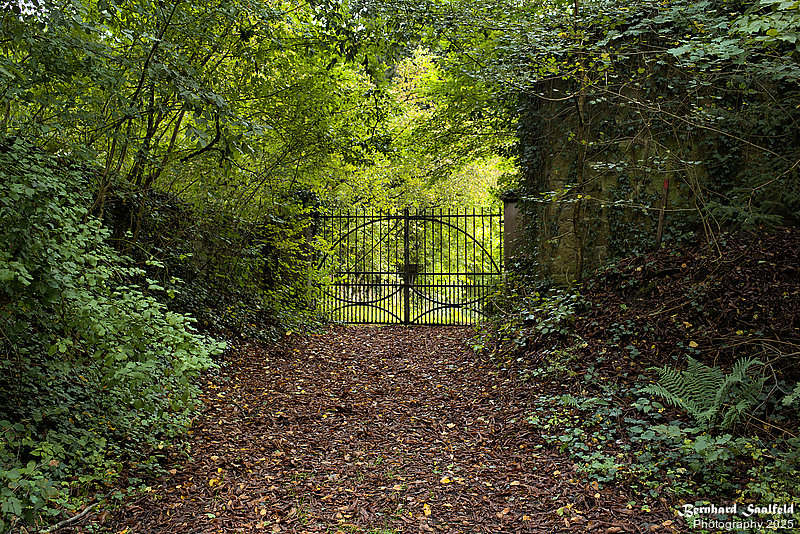 Bernhard Saalfeld - Spessart (1v9)